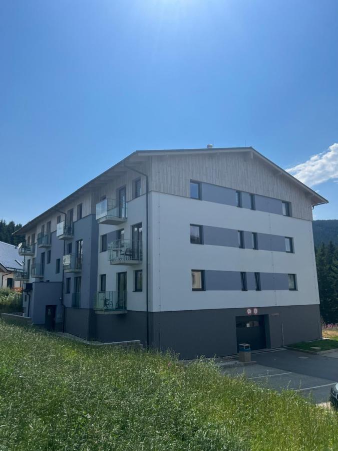 Klinovec-Apartments Loučná pod Klínovcem エクステリア 写真